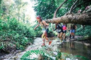 BIB: 
                            <button type="button" onclick="openModal(25448890)" class="btn btn-primary btn-sm float-right btn-popup" data-toggle="modal" data-target=".modal-high-quality">
                        <i class="fas fa-shopping-cart"></i> Add to Cart
                    </button>
                                            <button type="button" onclick="isThisMe(25448890, true)" class="btn btn-success btn-sm float-right btn-popup btn-isme hidden" data-toggle="tooltip" data-placement="bottom" title="นี่คือรูปของคุณใช่ไหม คลิกที่นี่เพื่อเอาเข้าอัลบั้ม">
                        <i class="fas fa-plus"></i> Add to album
                    </button>
                    <button type="button" onclick="isThisMe(25448890, false)" class="btn btn-warning btn-sm float-right btn-popup btn-isnotme hidden">
                        <i class="fas fa-ban"></i> Remove from album
                    </button>